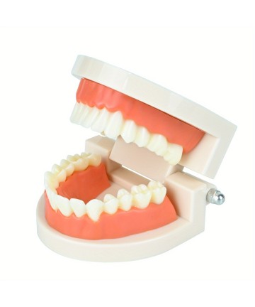 Zahnschmuck Starter-Kit - mit mini Kurs & Instruktionsvideo