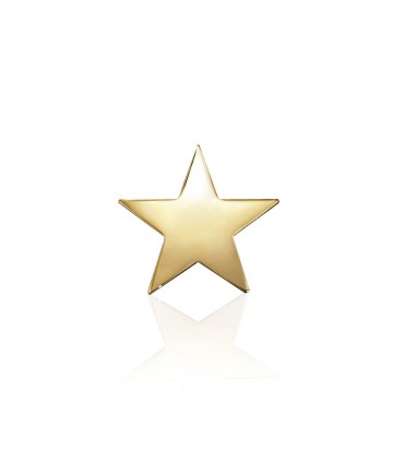 Gouden Mini Ster - 18 karaat tooth gem - in voorraad :)