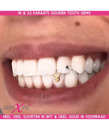 Goldschmuck Playboy Bunny Weissgold 18kt einkaufen für Twinkles Smiles?