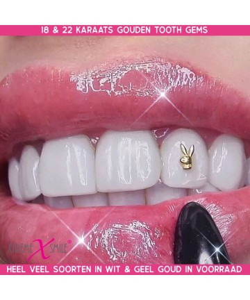 Goldschmuck Playboy Bunny Weissgold 18kt einkaufen für Twinkles Smiles?